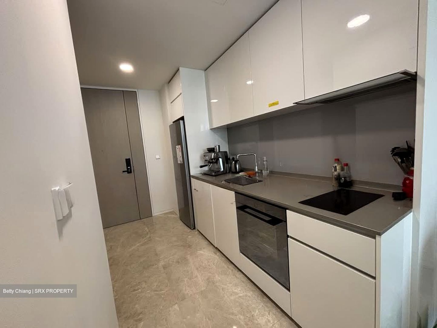 Amber Park (D15), Condominium #554710261
